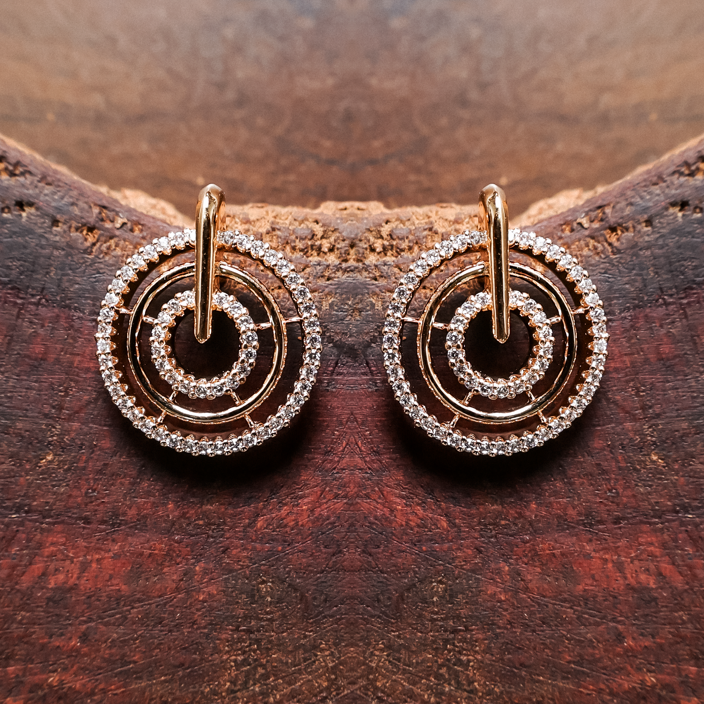 Earrings 191