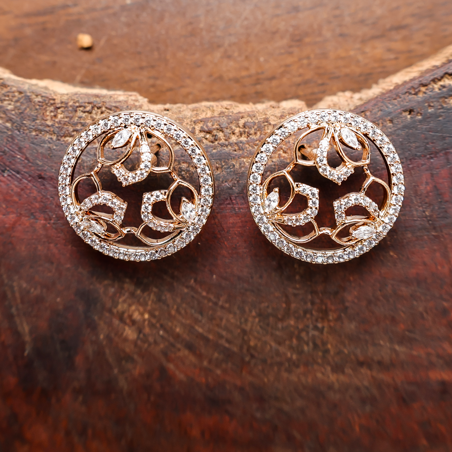 Earrings 204