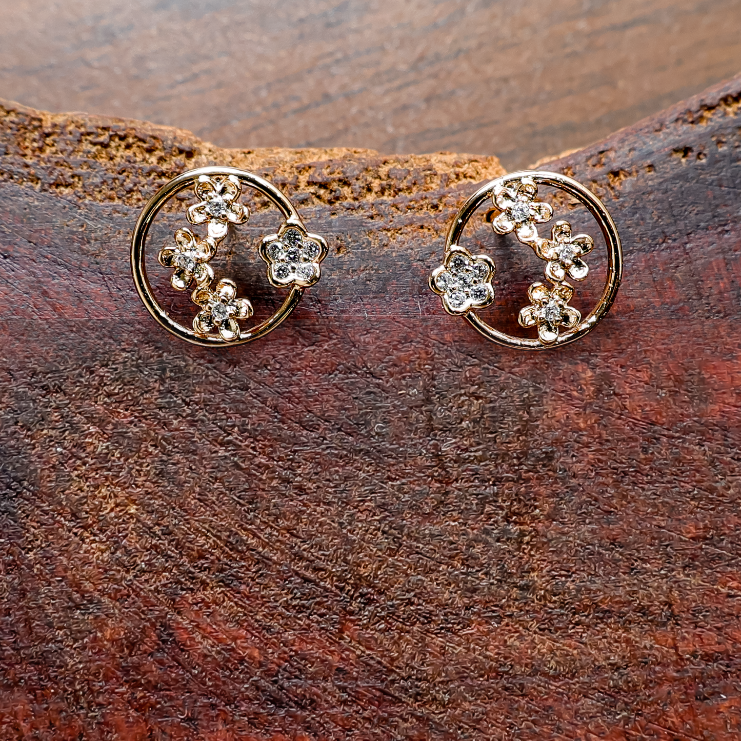 Earrings 202