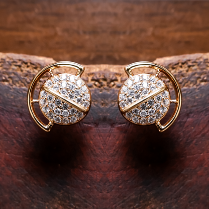 Earrings 192