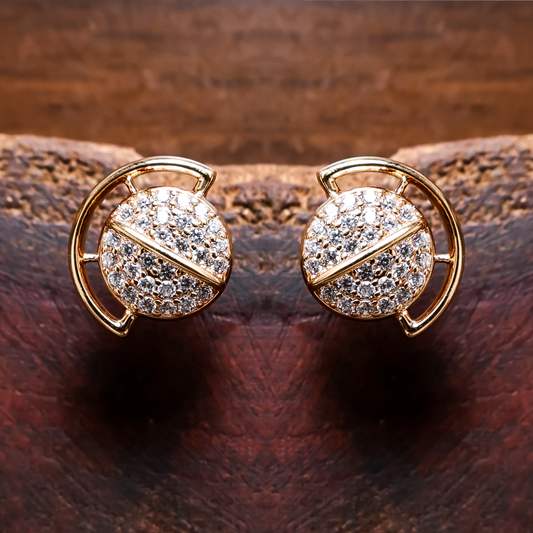 Earrings 192