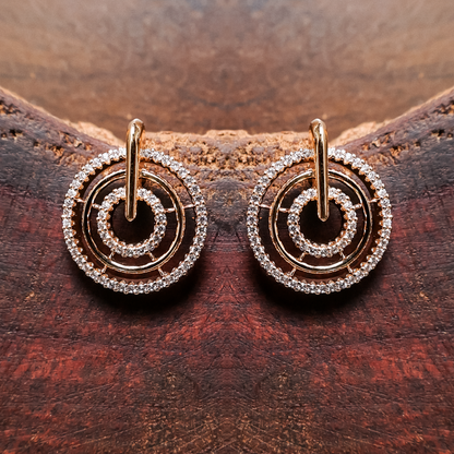 Earrings 191