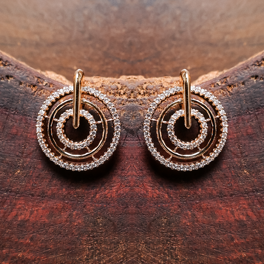 Earrings 191