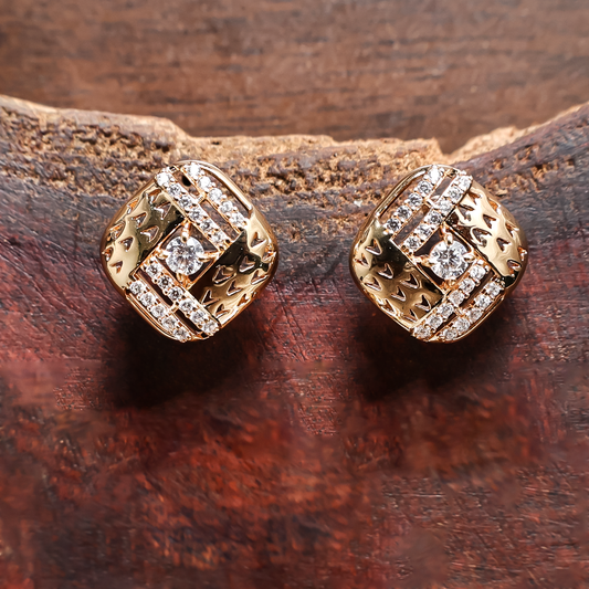 Earrings 194