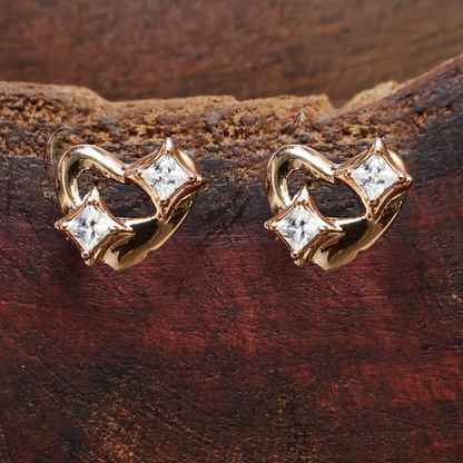 Earrings 193