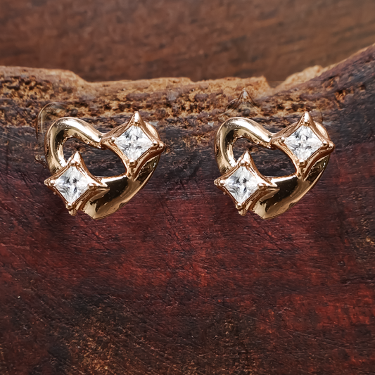 Earrings 193