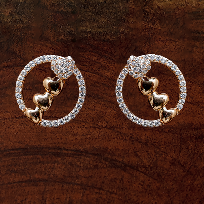 Earrings 205