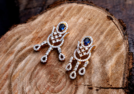 Earrings 84